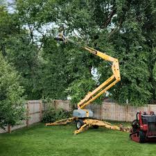  Rossville, GA Tree Services Pros