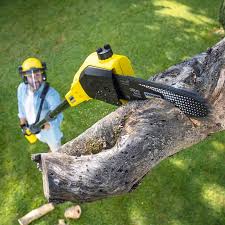 Best Lawn Maintenance Plans  in Rossville, GA